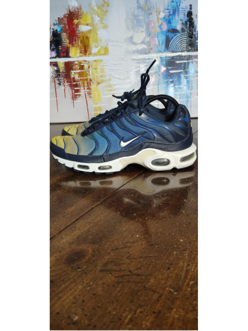 Nike Air Max Plus TN Shoes Mens Size 9.5 Multicolor Ombre Sneakers 852630-417